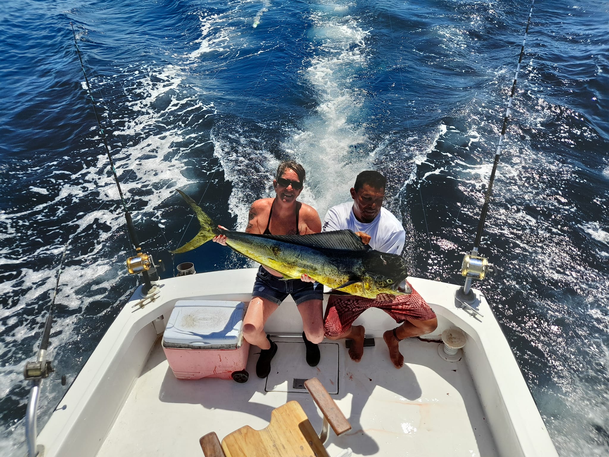 Mahi