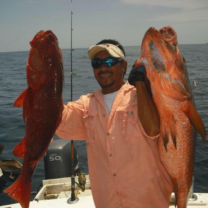 Red Snappers
