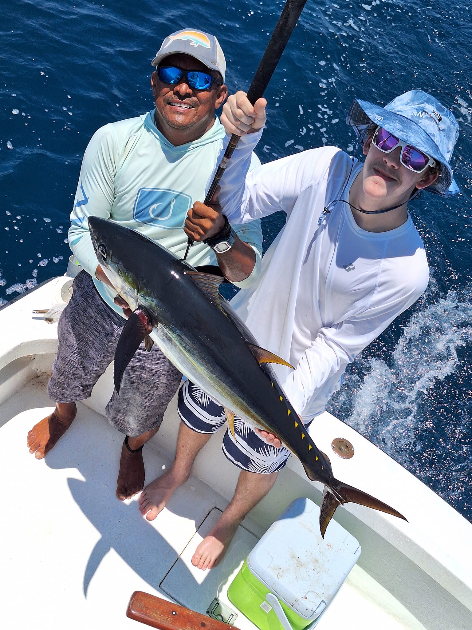 Yellow Fin Tuna